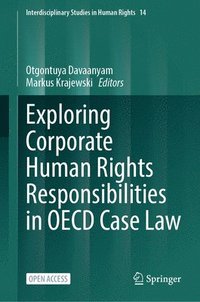 bokomslag Exploring Corporate Human Rights Responsibilities in OECD Case Law