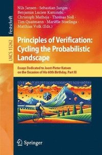 bokomslag Principles of Verification: Cycling the Probabilistic Landscape