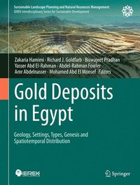 bokomslag Gold Deposits in Egypt