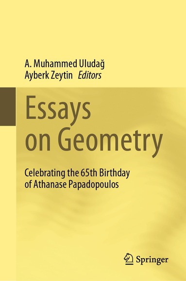 bokomslag Essays on Geometry