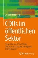 Christian Schachtner - CDOs im öffentlichen Sektor, Häftad