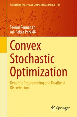 bokomslag Convex Stochastic Optimization