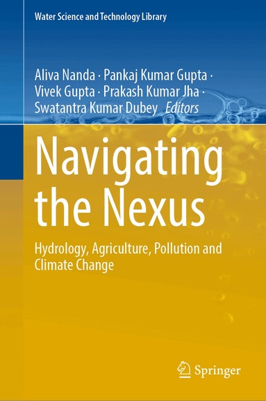 Aliva Nanda, Pankaj Kumar Gupta, Vivek Gupta, Prakash Kumar Jha, Swatantra Kumar Dubey - Navigating the Nexus, Inbunden