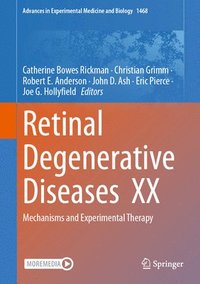 bokomslag Retinal Degenerative Diseases  XX