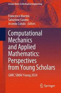 bokomslag Computational Mechanics and Applied Mathematics: Perspectives from Young Scholars