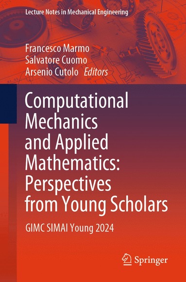 bokomslag Computational Mechanics and Applied Mathematics: Perspectives from Young Scholars