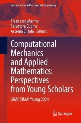 Computational Mechanics and Applied Mathematics: Perspectives from Young Scholars 1