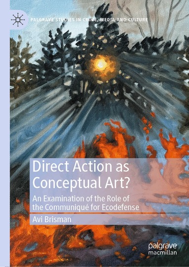 Avi Brisman - Direct Action as Conceptual Art?, Inbunden
