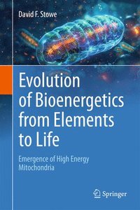 bokomslag Evolution of Bioenergetics from Elements to Life