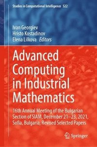 bokomslag Advanced Computing in Industrial Mathematics