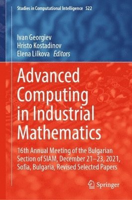 bokomslag Advanced Computing in Industrial Mathematics