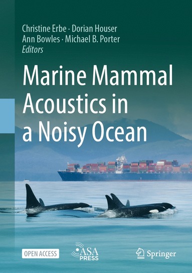 bokomslag Marine Mammal Acoustics in a Noisy Ocean