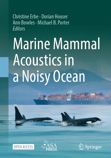 bokomslag Marine Mammal Acoustics in a Noisy Ocean