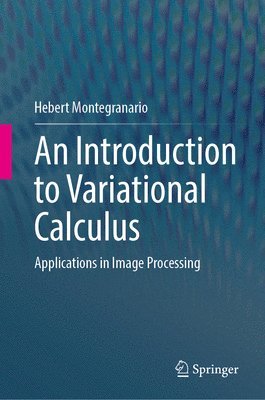 bokomslag An Introduction to Variational Calculus