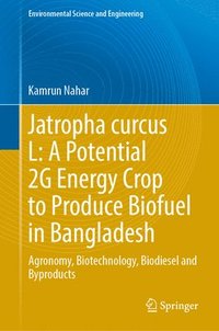 bokomslag Jatropha curcas L: A Potential  2G Energy Crop to Produce Biofuel in Bangladesh