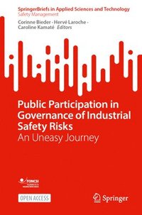 bokomslag Public Participation in Governance of Industrial Safety Risks