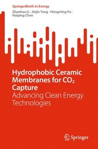 bokomslag Hydrophobic Ceramic Membranes for CO2 Capture