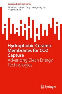 Hydrophobic Ceramic Membranes for CO2 Capture