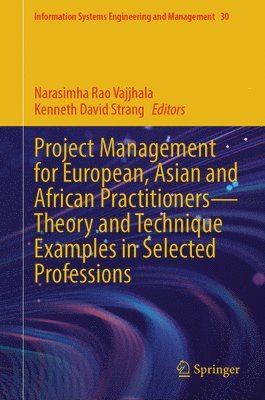 bokomslag Project Management for European, Asian and African Practitioners-Theory and Technique Examples in Selected Professions
