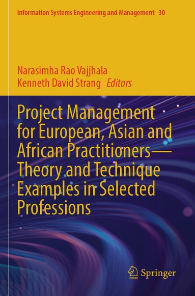 Narasimha Rao Vajjhala, Kenneth David Strang - Project Management for European, Asian and African Practitioners—Theory and Technique Examples in Selected Professions, Häftad