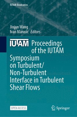 bokomslag Proceedings of the IUTAM Symposium on Turbulent/Non-Turbulent Interface in Turbulent Shear Flows