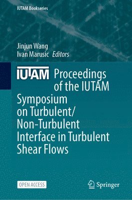 Jinjun Wang, Ivan Marusic - Proceedings of the IUTAM Symposium on Turbulent/Non-Turbulent Interface in Turbulent Shear Flows, Inbunden