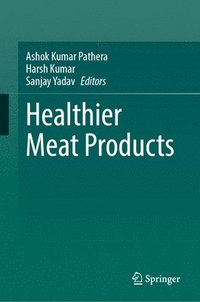 bokomslag Healthier Meat Products