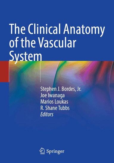 Stephen J. Bordes, Jr., Joe Iwanaga, Marios Loukas, R. Shane Tubbs - Clinical Anatomy of the Vascular System, Häftad