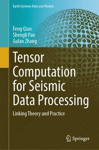 bokomslag Tensor Computation for Seismic Data Processing