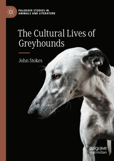 John Stokes - Cultural Lives of Greyhounds, Inbunden