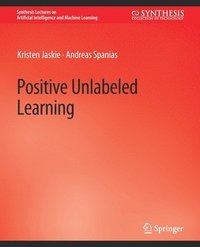 bokomslag Positive Unlabeled Learning