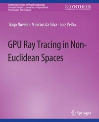 bokomslag GPU Ray Tracing in Non-Euclidean Spaces
