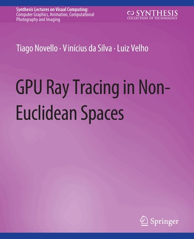 Tiago Novello, Vinícius da Silva, Luiz Velho - GPU Ray Tracing in Non-Euclidean Spaces, Häftad