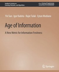 bokomslag Age of Information