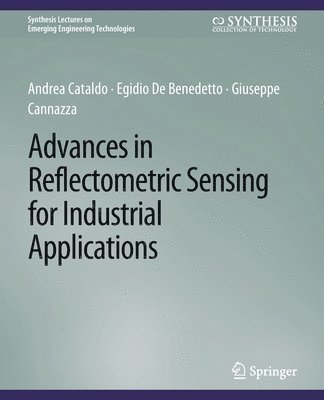 Advances in Reflectometric Sensing for Industrial Applications 1