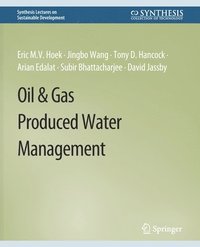 bokomslag Oil & Gas Produced Water Management