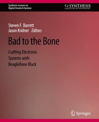 bokomslag Bad to the Bone