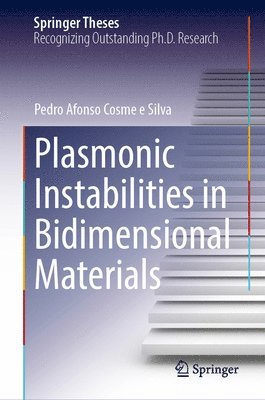 Plasmonic Instabilities in Bidimensional Materials 1