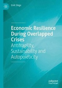 bokomslag Economic Resilience During Overlapped Crises