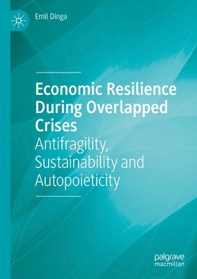 bokomslag Economic Resilience During Overlapped Crises