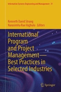 bokomslag International Program and Project Management - Best Practices in Selected Industries