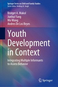 bokomslag Youth Development in Context