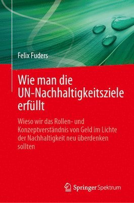 Wie man die UN-Nachhaltigkeitsziele erfllt 1