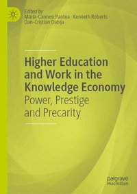 bokomslag Higher Education and Work in the Knowledge Economy