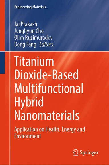 bokomslag Titanium Dioxide-based Multifunctional Hybrid Nanomaterials