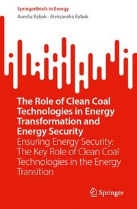 bokomslag The Role of Clean Coal Technologies in Energy Transformation and Energy Security