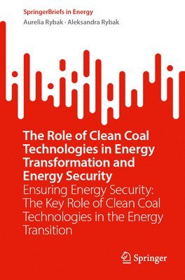 bokomslag The Role of Clean Coal Technologies in Energy Transformation and Energy Security