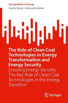 Aurelia Rybak, Aleksandra Rybak - Role of Clean Coal Technologies in Energy Transformation and Energy Security, Häftad