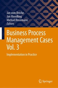 bokomslag Business Process Management Cases Vol. 3