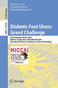 bokomslag Diabetic Foot Ulcers Grand Challenge